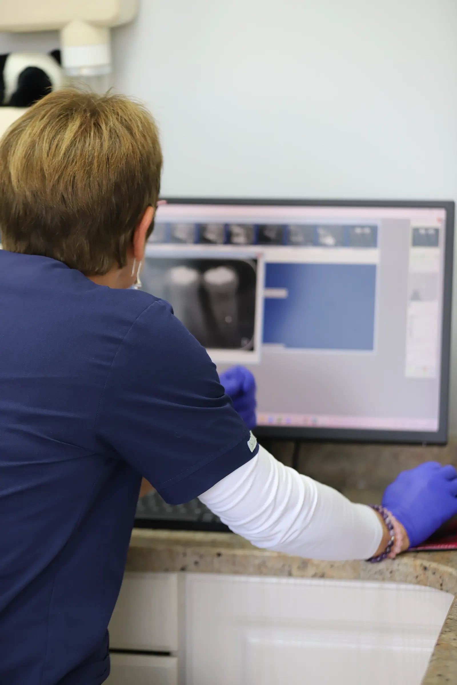Dentist reviewing an X-ray on a computer